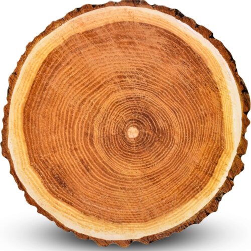 Gift Boutique Wood Charger Plates 24 Pack Disposable Round 13 Inch Rustic Tree Slice Chargers Dinner Table Decor Wedding Party Farmhouse Place Settings