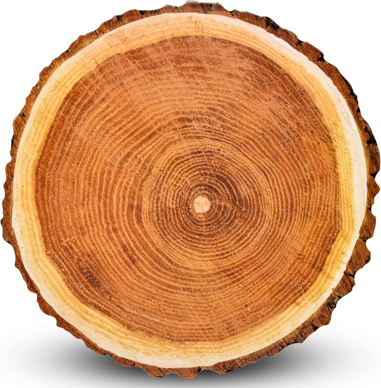 Gift Boutique Wood Charger Plates 24 Pack Disposable Round 13 Inch Rustic Tree Slice Chargers Dinner Table Decor Wedding Party Farmhouse Place Settings